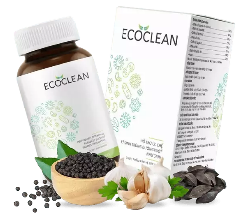 EcoClean